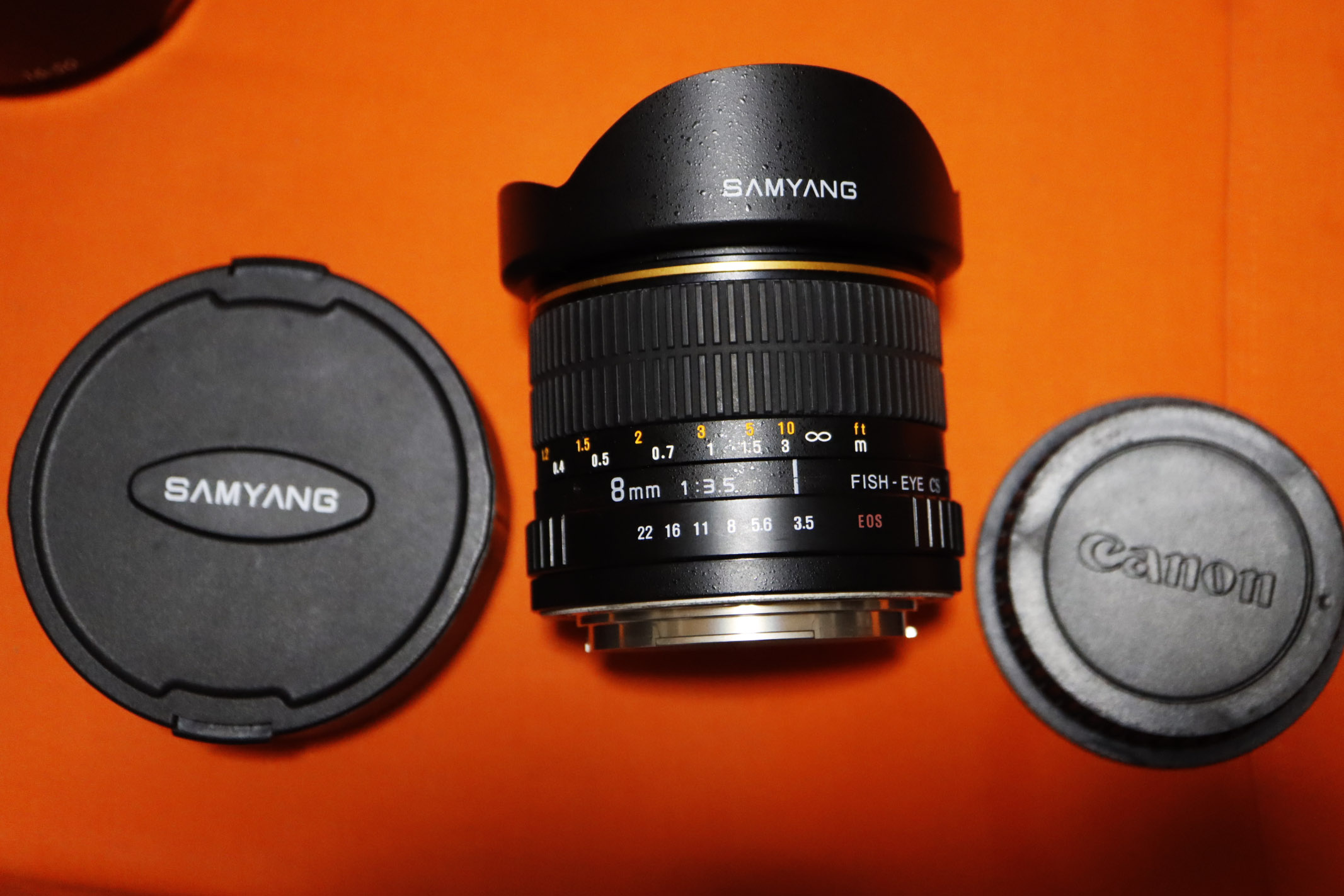 sigma 8mm full frame