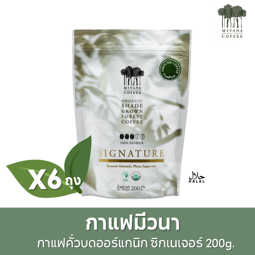 Mivana Coffee Mivana Signature Blend Roasted and Ground Organic Arabica Coffee, 200 Grams (6 Bags Per Box) # 61110103 ราคา 2,100 บาท*ส่งฟรี