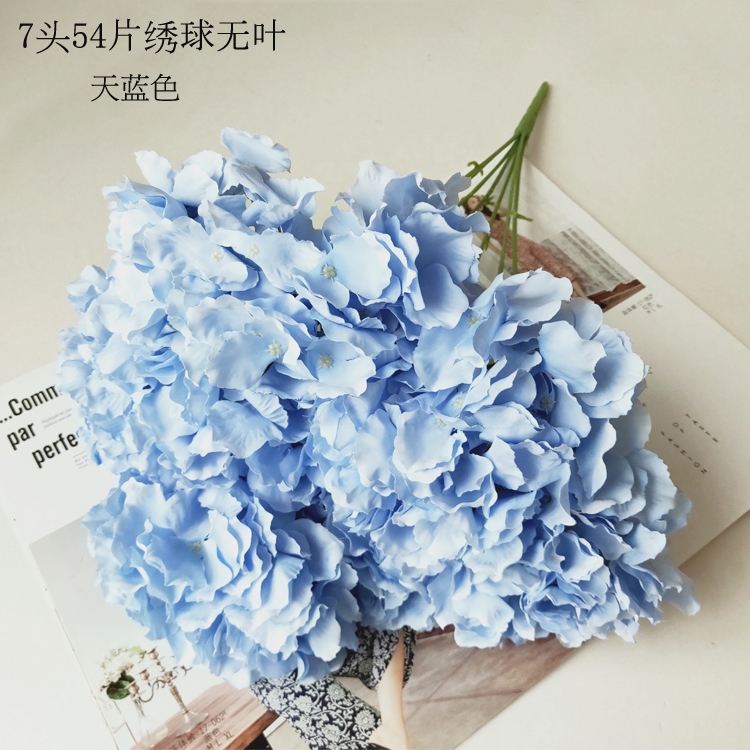 https://th-live-01.slatic.net/p/5cab1354540fd2d6495904e9c90dad54.jpg