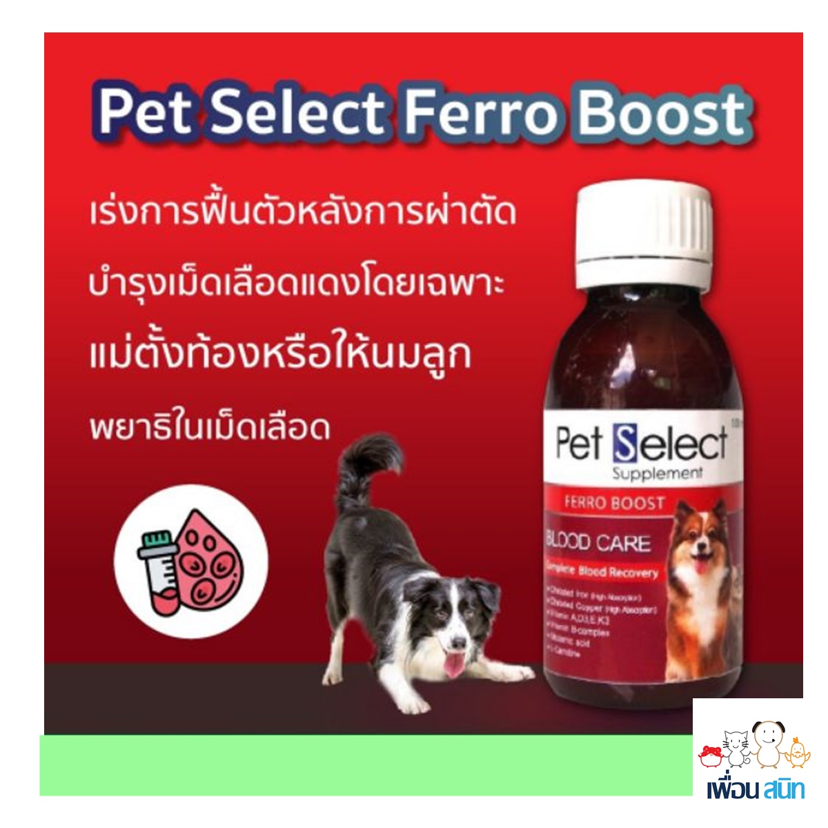 รูปภาพเพิ่มเติมของ Ferro-Boost 100 ml Pet Select  วิตามิน อาหารเสริม บำรุงเลือด สุนัข แมว Ferro Boost Iron Supplement dog cat (1 ขวด/bottle)