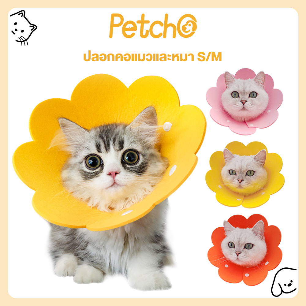 Petcho 🐈 Cat and Dog Collar, Cat Collar, Cat Speaker, Anti-licking Collar, Anti-licking, Suitable for Cats and Dogs. ราคา 17 บาท*ส่งฟรี
