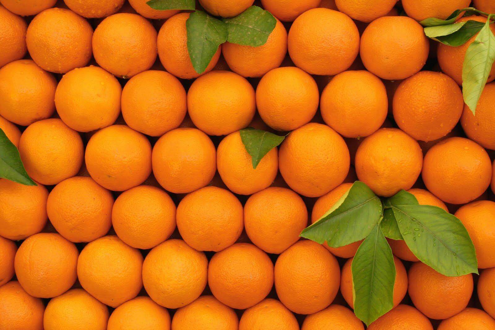 ภาพอธิบายเพิ่มเติมของ ✈️  ส้มไร้เมล็ด ส้มผลไม้มงคล สรรพคุณของส้ม ส้มคัดพิเศษ! 500 กรัม ส้มเปลือกบาง หวานฉ่ำ เก็บได้นาน 15-20 วัน 14 วัน ยิ่งเก็บนานยิ่งหวานฉ่ำ