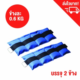 2561 ถุงทรายถ่วงน้ำหนัก สำหรับข้อเท้า ถุงทรายข้อเท้า หนักข้างละ 0.60 กก. - 2 ข้าง / Ankle Weight / Wrist weight