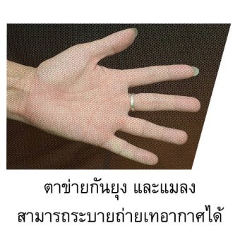 Amazon เต็นท์สปริง ( โยน ) POP UP กางเองอัตโนมัติ + แลดโลชั่น