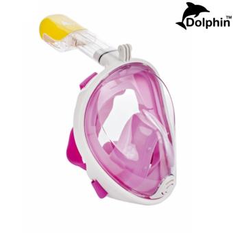 2561 หน้ากากดำน้ำ DOLPHIN