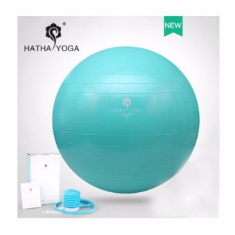 HATHA YOGA - บอลโยคะ สีเขียว ไซด์ 65 cm. คงทน ยืดหยุ่น ปลอดสารพิษ กันการระเบิด, Professional-grade, anti-burst ball, improve balance and flexibility, พิเศษแถมฟรี เครื่องปั้มลม และ อุปกรณ์ มูลค่า 250 บาท HATHA YOGA - บอลโยคะ สีเขียว ไซด์ 65 cm. คงทน ยืดหยุ่น ปลอดสารพิษ กันการระเบิด, Professional-grade, anti-burst ball, improve balance and flexibility, พิเศษแถมฟรี เครื่องปั้มลม และ อุปกรณ์ มูลค่า 250 บาท