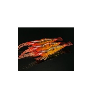 fight for fish(ing) เหยื่อปลอม กุ้งยาง สีส้ม 9 ซม. fight for fish(ing) เหยื่อปลอม กุ้งยาง สีส้ม 9 ซม.