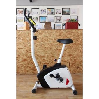 B&G จักรยานปั่นออกกำลังกาย Magnetic Bike จักรยานบริหาร ระบบแม่เหล็ก B&G จักรยานปั่นออกกำลังกาย Magnetic Bike จักรยานบริหาร ระบบแม่เหล็ก