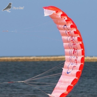 ฉันเป็นนก 1.4แผ่นสองแถวชายหาดร่มกีฬาโลดโผนพลังงาน Parafoil ว่าว (สีแดง) ฉันเป็นนก 1.4แผ่นสองแถวชายหาดร่มกีฬาโลดโผนพลังงาน Parafoil ว่าว (สีแดง)