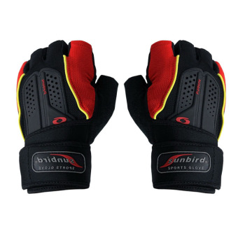 Elit ถุงมือ ฟิตเนส ยกน้ำหนัก มีสายรัดข้อ fitness weight lifting gloves (Red) Elit ถุงมือ ฟิตเนส ยกน้ำหนัก มีสายรัดข้อ fitness weight lifting gloves (Red)