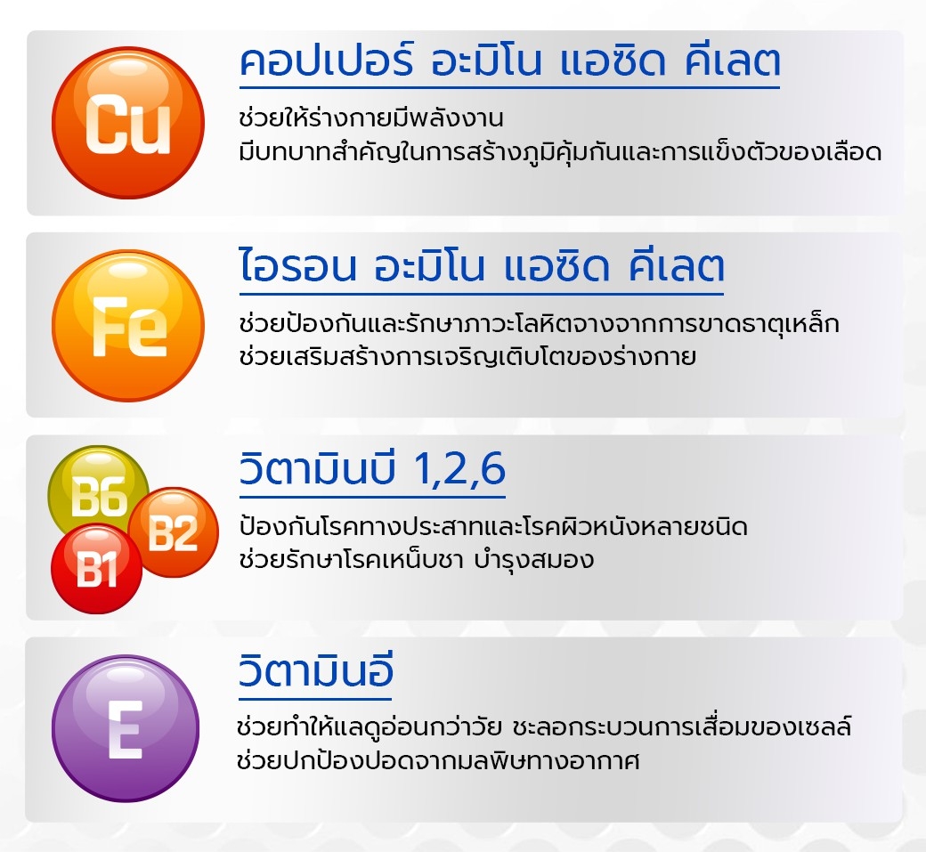 คำอธิบายเพิ่มเติมเกี่ยวกับ Clover Plus 19 มัลติวิต มิเนอรัล วิตามินรวม และแร่ธาตุกว่า19 ชนิด 2 กระปุก เเถม multi b 1ซอง