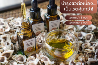 น้ำมันมะรุมออร์แกนิคสกัดเย็น 100% Organic moringa facial oil 15ml - Siam Aroma Organic farm น้ำมันออร์แกนิค สยามอโรมาออร์แกนิคฟาร์ม