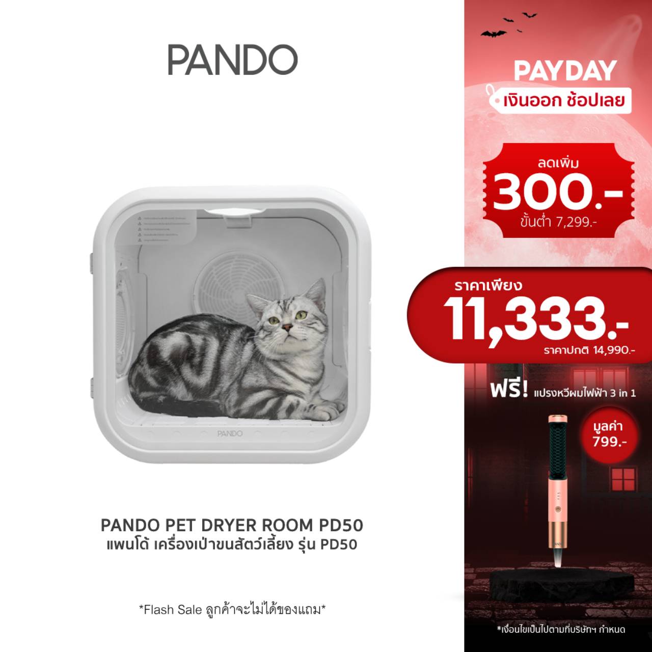 [ราคาพิเศษ 11,333.-] PANDO Pet Dryer Room เครื่องเป่าขนสัตว์เลี้ยง รุ่น PD50 ราคา 11,333 บาท*ส่งฟรี