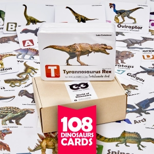 ภาพหน้าปกสินค้าแฟลชการ์ด ไดโนเสาร์ Flash Cards Dinosaurs บัตรคำ การ์ดคำศัพท์ เนิร์ดดี้อาว (Nerdy Owl) จำนวนมากที่สุดถึง 108 ใบ ของเล่นเสริมพัฒนาการ ที่เกี่ยวข้อง