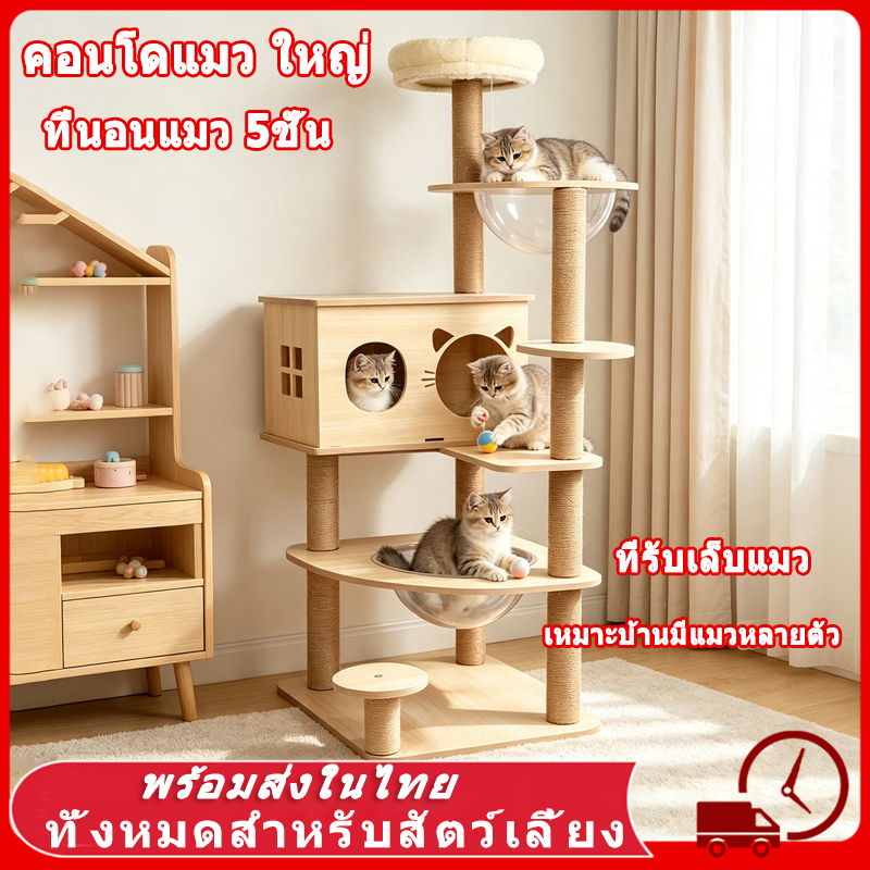 คอนโดแมว ใหญ่ คอนโดแมวไม้ บ้านแมว เหมาะสำหรับเลี้ยงน้องแมว