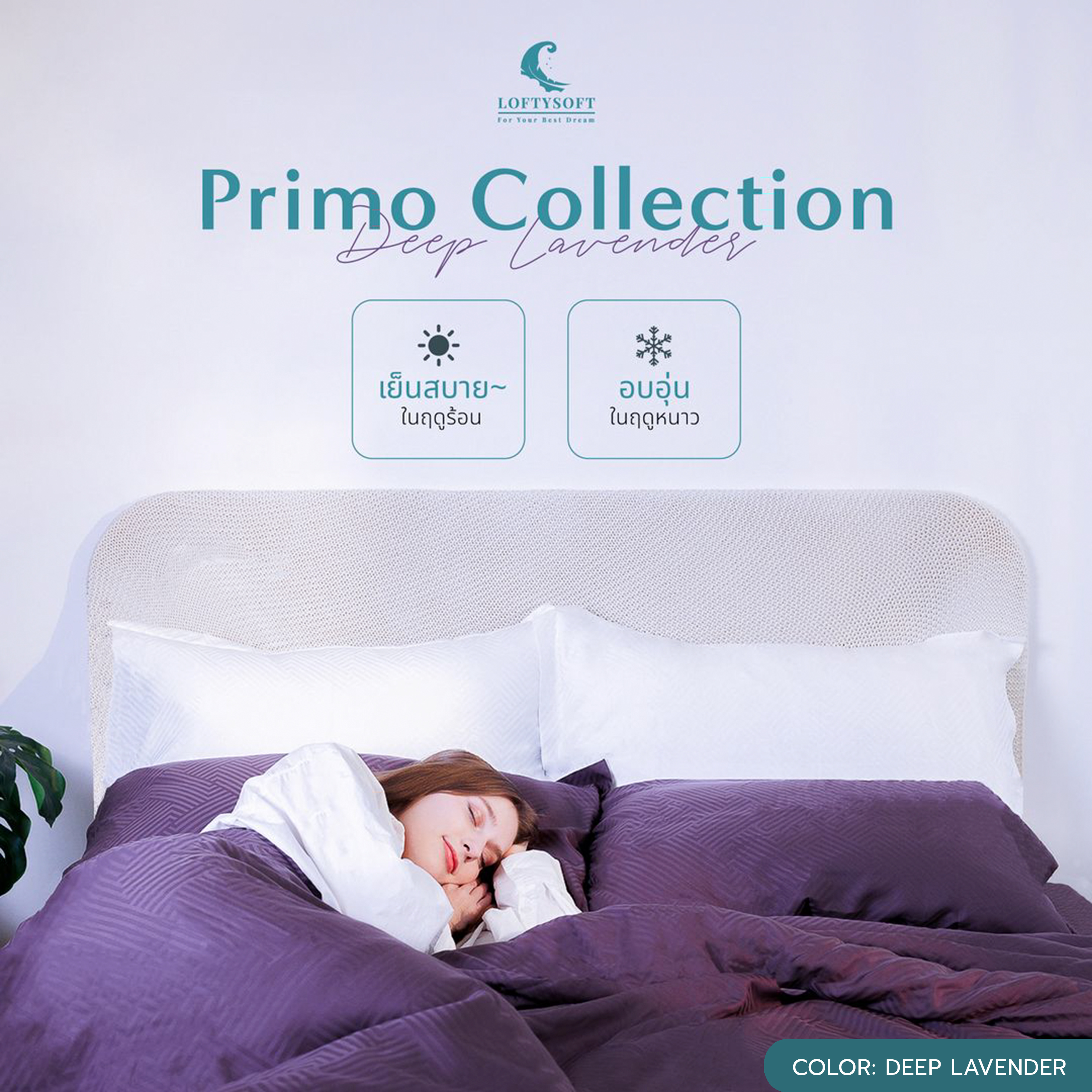 LOFTYSOFT Bed Sheet Set 6ft KING, 5ft QUEEN, 3.5ft SINGLE, TENCEL100% 500TC, PRIMO COLLECTION ราคา 2,790 บาท*ส่งฟรี
