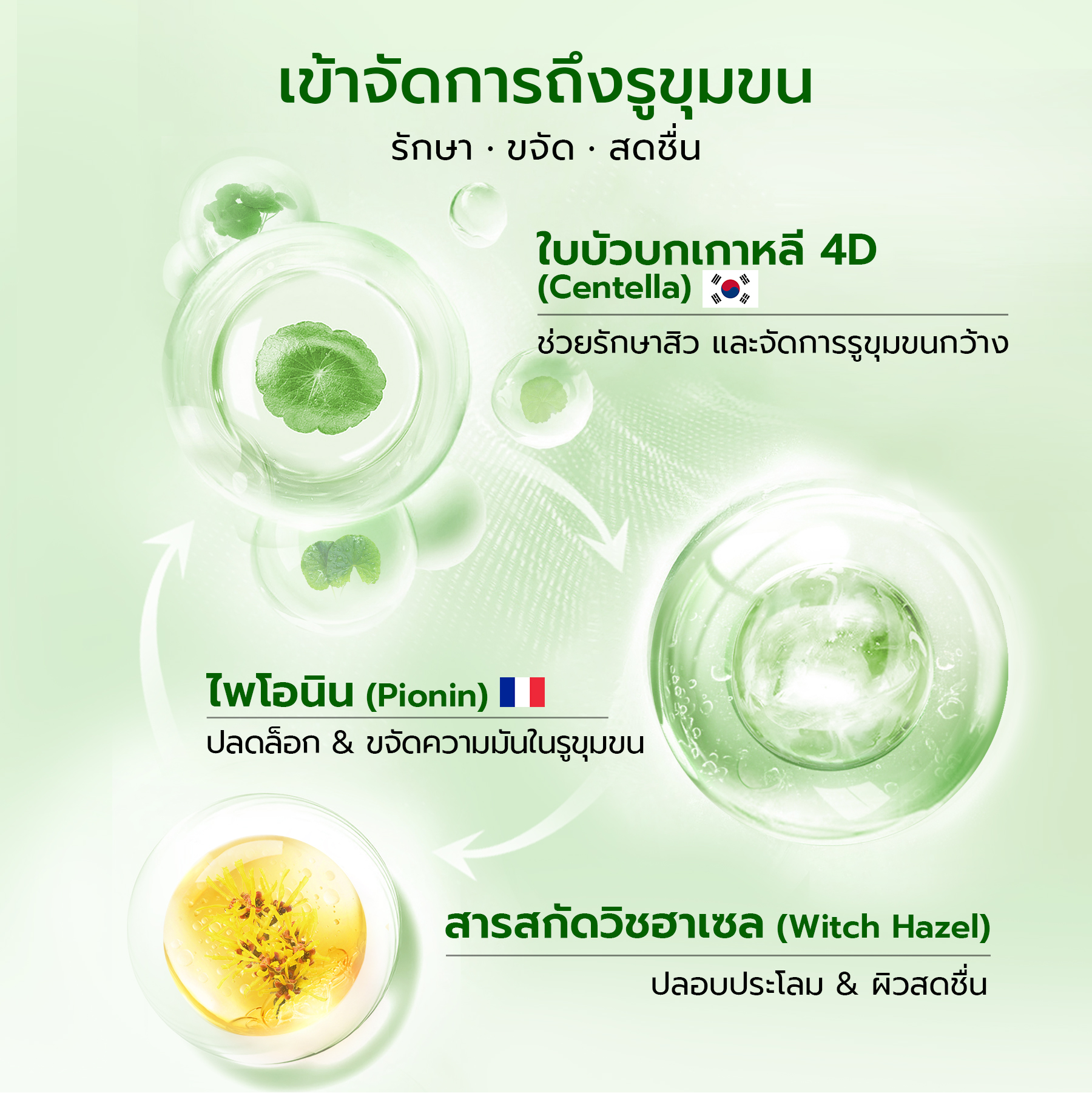 YOU AcnePlus AHA BHA PHA Daily Essence ดูดซับความมันส่วนเกิน กระชับรูขุมขน ขจัดสิวเพื่อผิวแลดูสุขภาพดี 6627333318196ff01a4b308b8abf19d1