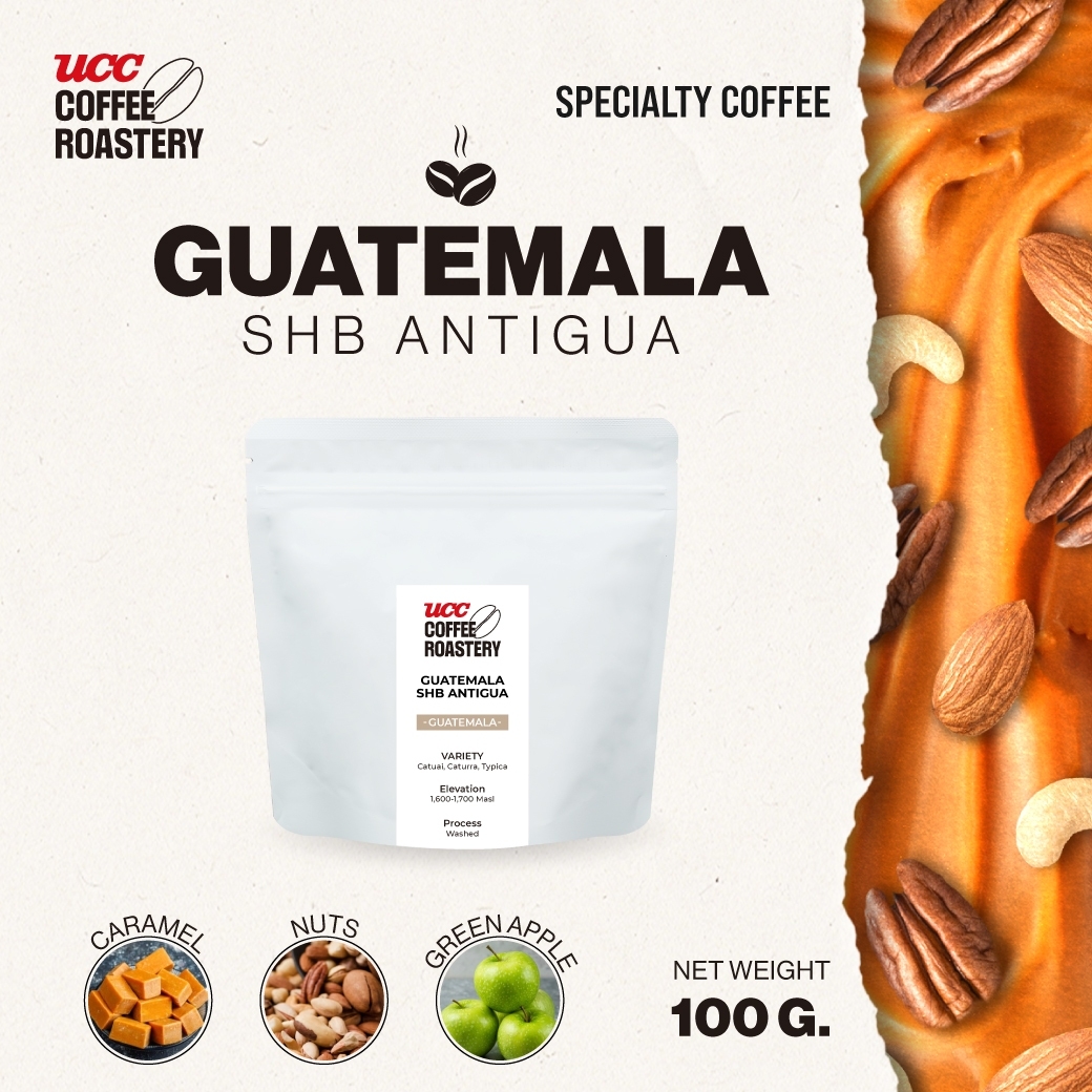 UCC Roastery - GUATEMALA SHB ANTIGUA (Coffee bean) เมล็ดกาแฟคั่วอ่อนค่อนกลาง 100g. ราคา 189 บาท*ส่งฟรี