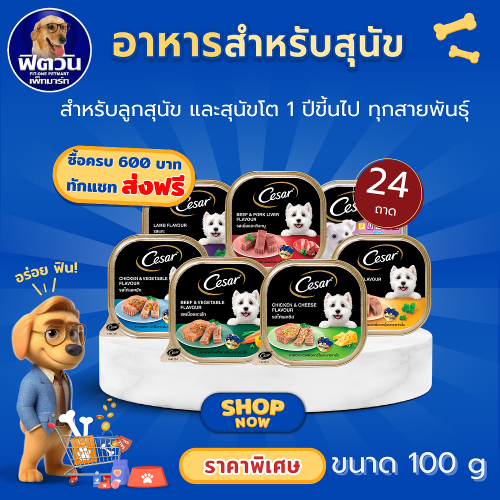 อาหารถาดสุนัข ซีซาร์ ขนาด 100 กรัม ราคา 840 บาท*ส่งฟรี