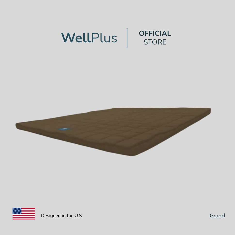 WellPlus ท็อปเปอร์ยางพารา Topper ที่นอน ท็อปเปอร์ ทอปเปอร์ ที่นอนยางพารา ราคา 699 บาท*ส่งฟรี