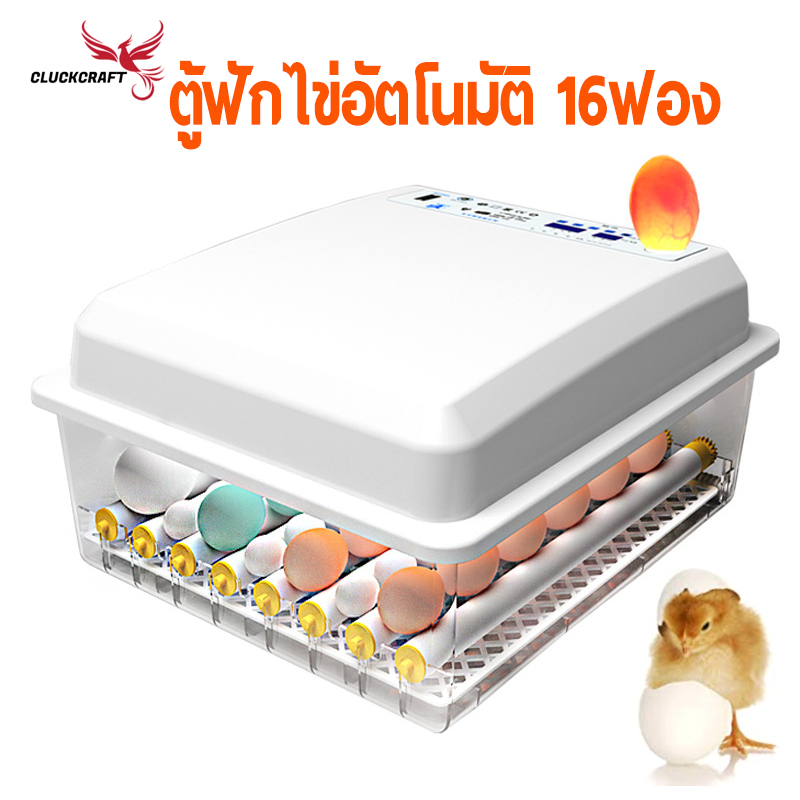 ตู้ฟักไข่อัตโนมัติ 16ฟอง ฟักไข่ไก่ ไข่เป็ด ไข่นก ส่งจากสมุทรปราการ ที่ฟักไข่ ควบคุมความชื้น อุดหภูมิอัตโนมัติ กลับไข่เอง ราคา 752 บาท*ส่งฟรี