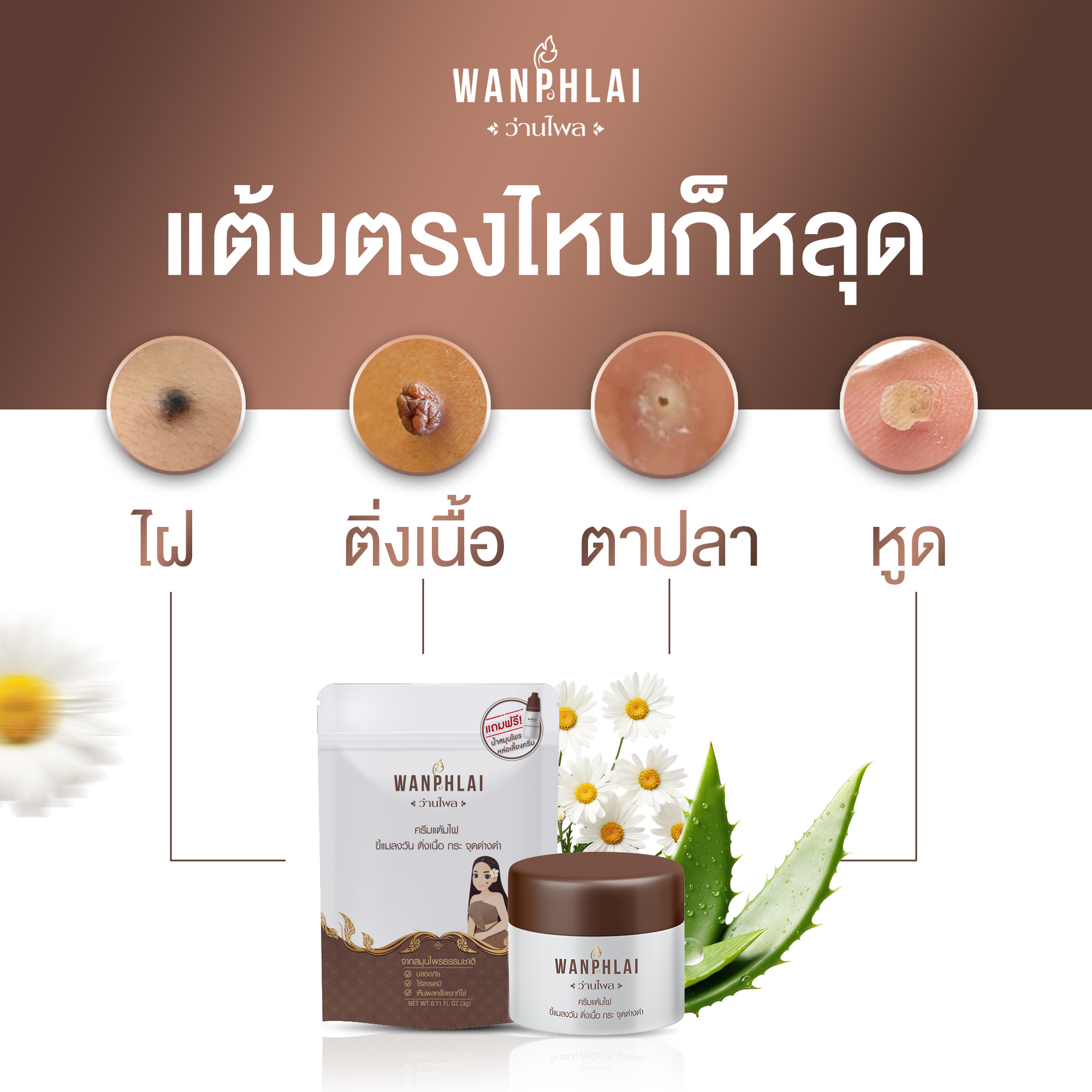 ผลิตภัณฑ์ไฝ ขี้แมลงวัน หูดตาปลาและติ่งเนื้อไฝ ขี้แมลงวัน แต้ม ทาไฝ ว่านไพล ราคา 590 บาท*ส่งฟรี