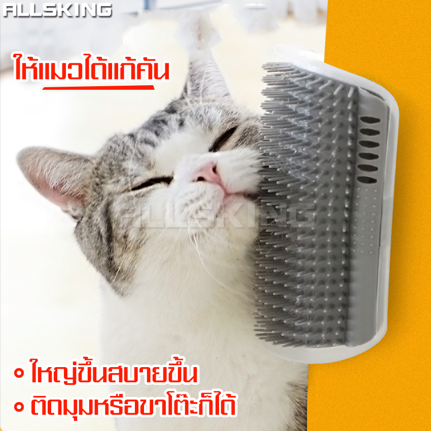 Angle cat hair brush pet hair brush wall-mounted cat hair massage brush pet hair comb brush massage brush corner or table leg 4 colors ราคา 39 บาท*ส่งฟรี