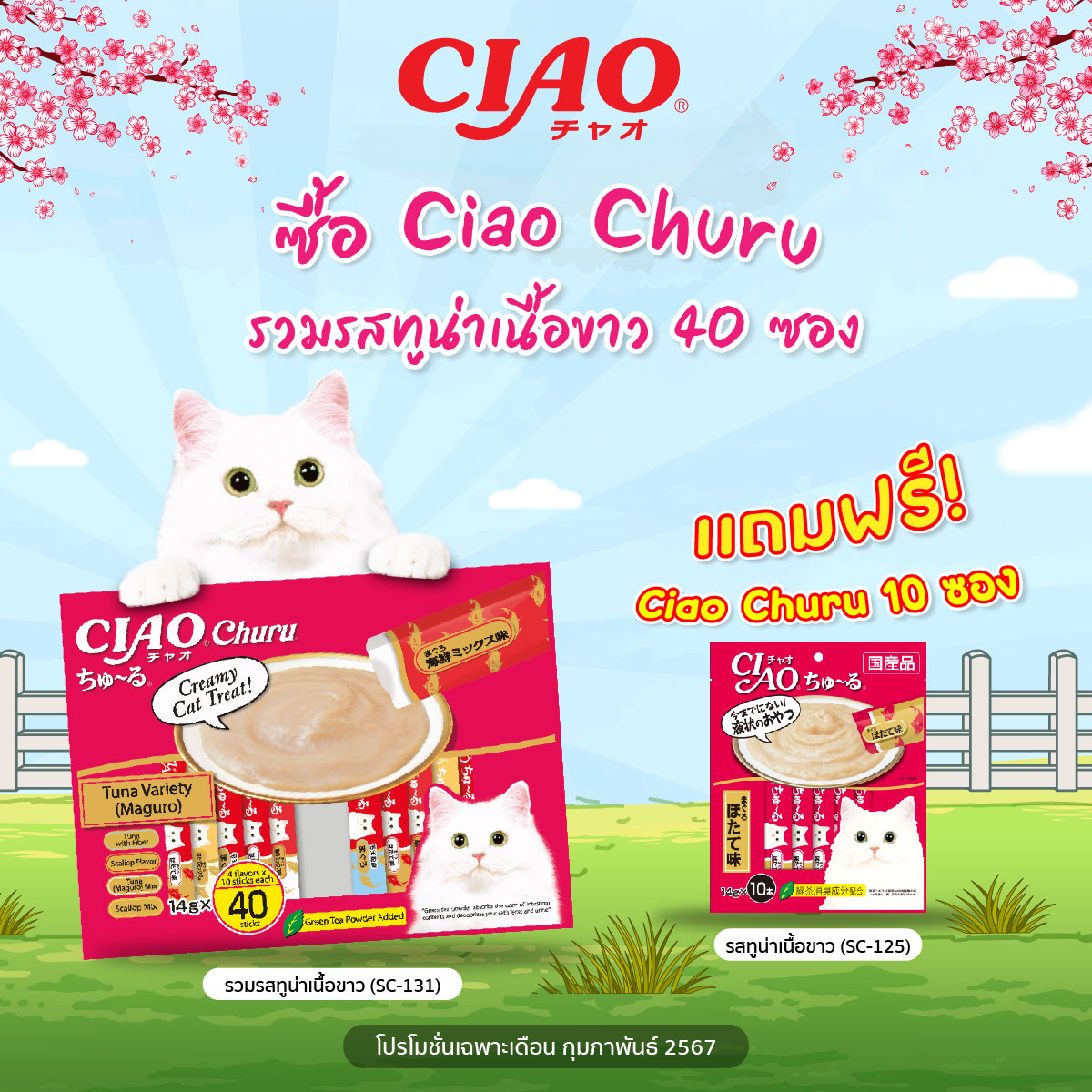 (Free Gift: 10 Packets of Cat Treats) Ciao Churu Cat Treats, Mixed Flavors, White Tuna, 14 Grams X 40 Packets (Sc-131) ราคา 473 บาท*ส่งฟรี