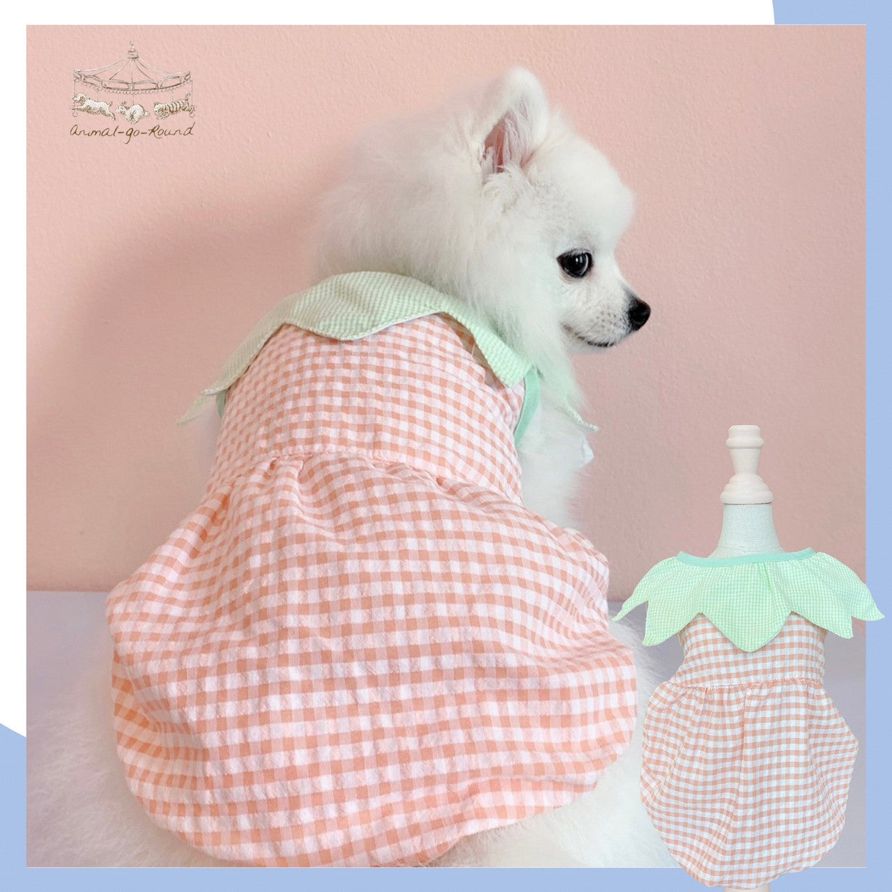 Animal-Go-Round เสื้อผ้าเครื่องแต่งกาย สัตว์เลี้ยง, หมา, แมว, สุนัข รุ่น Sweety Pumpkin ราคา 590 บาท*ส่งฟรี