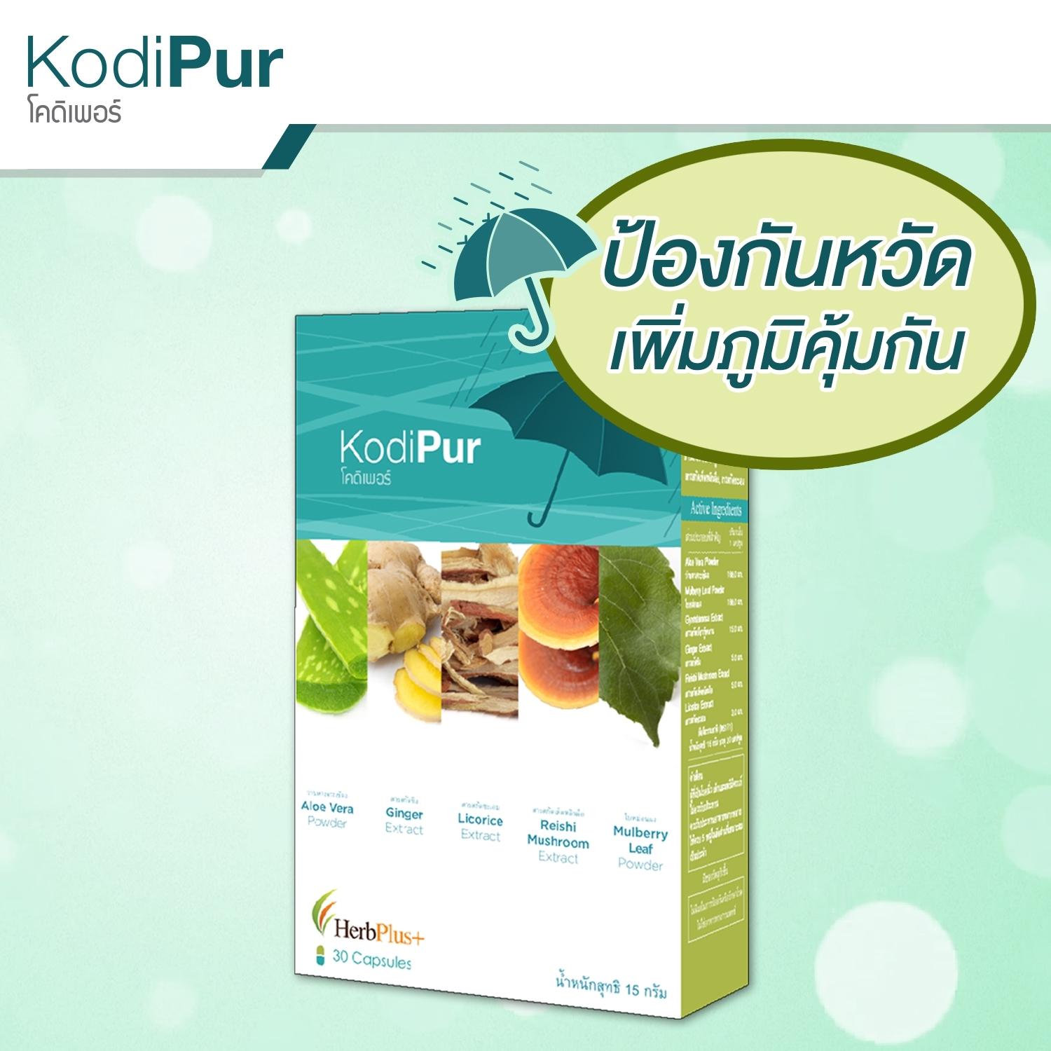 Kodipur ราคา 450 บาท*ส่งฟรี
