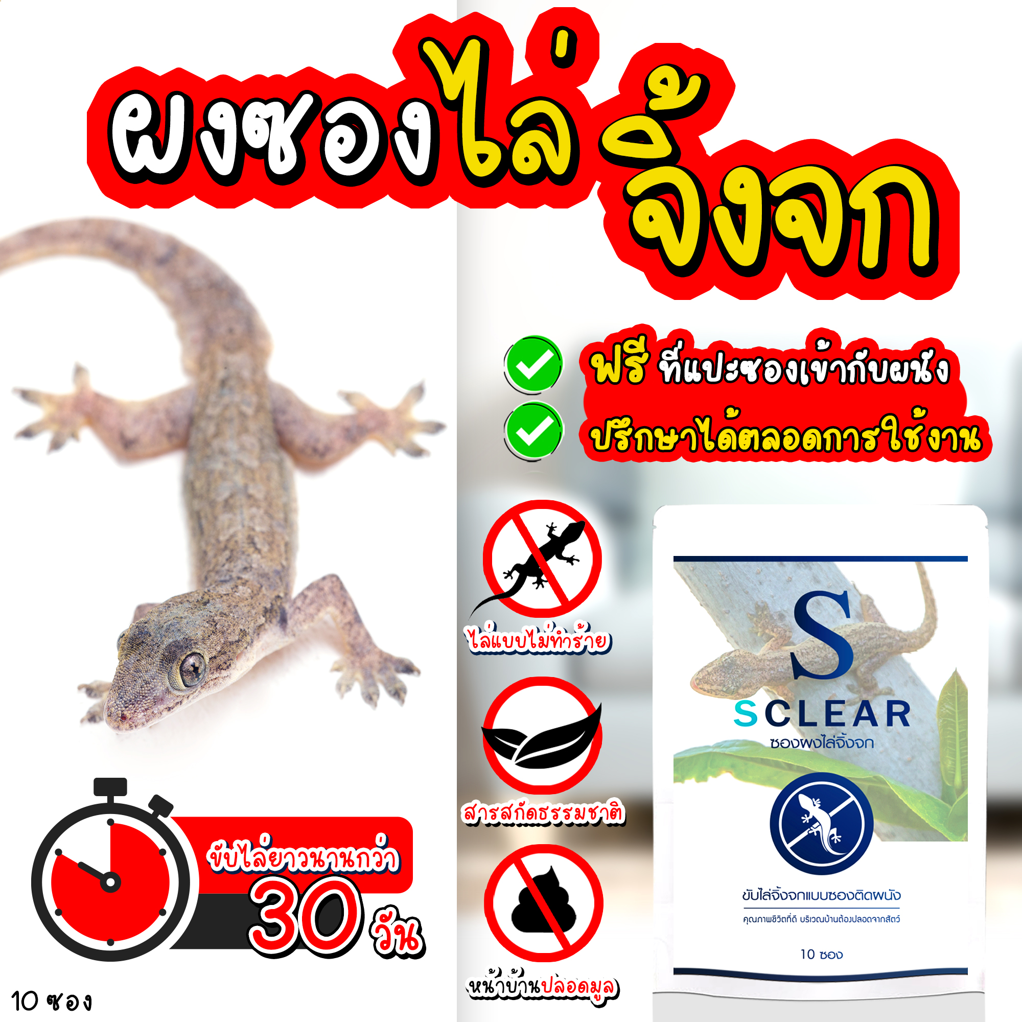ผงซองไล่จิ้งจก ราคา 232 บาท*ส่งฟรี