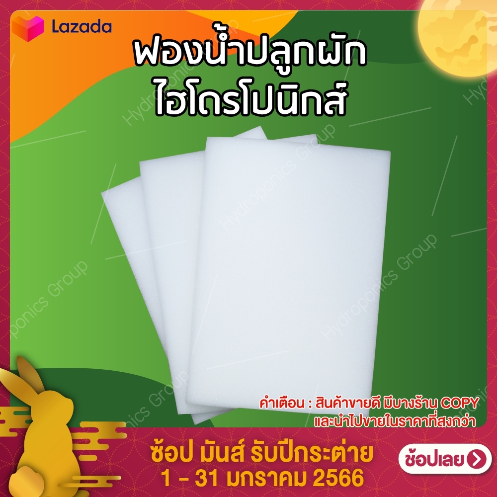 ฟองน้ำปลูกผักไฮโดรโปนิกส์ คุณภาพดี 1 แผ่น by hydroponicgroup
