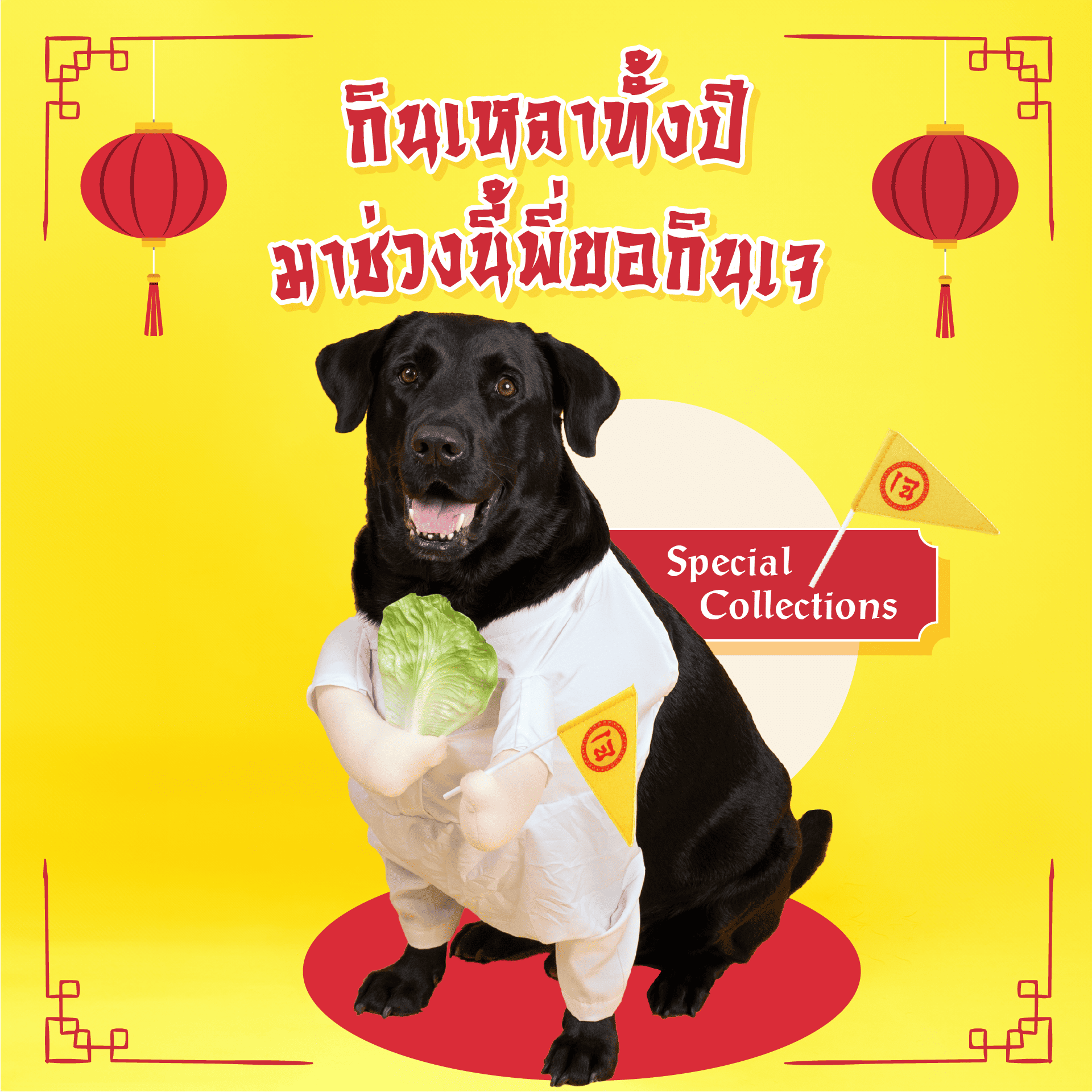 ชุดหมาแมวแฟนซี Chinese Veggie ชุดคอสตูมเทศกาลกินเจ | Clawset.bkk ราคา 649 บาท*ส่งฟรี