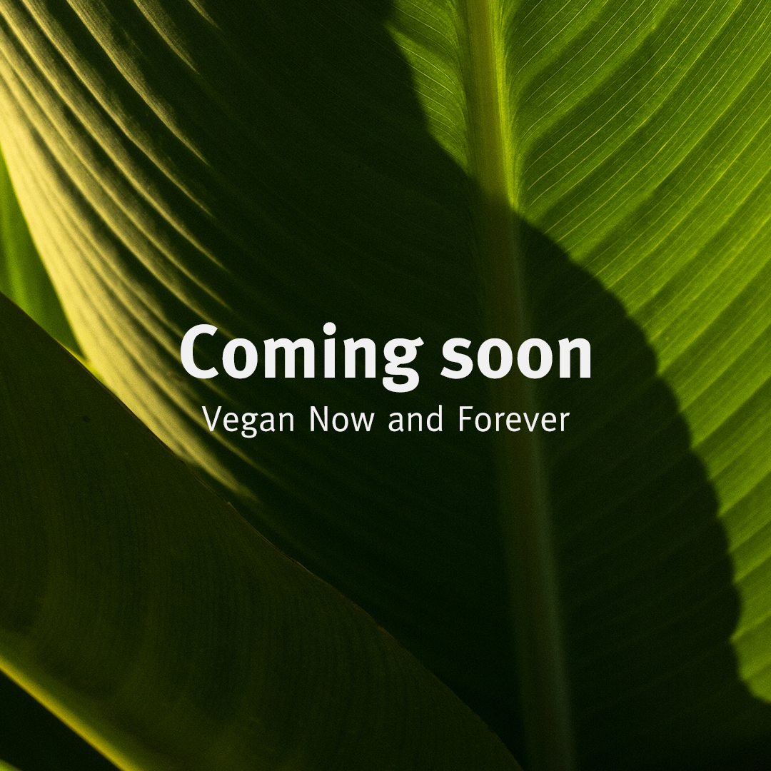 Coming soon ราคา 1,620 บาท*ส่งฟรี