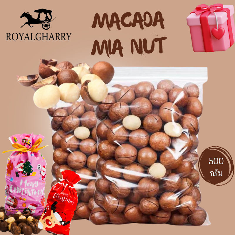 พิเศษแพ็กเกจปีใหม่ ถั่วแมคาเดเมีย macadamia ราชาแห่งถั่ว ถั่วอบเนยแบบมีเปลือก พร้อมที่แกะ เต็มเม็ด หวาน กรอบ สด ใหม่ ขนาด 500 กรัม ราคา 139 บาท*ส่งฟรี