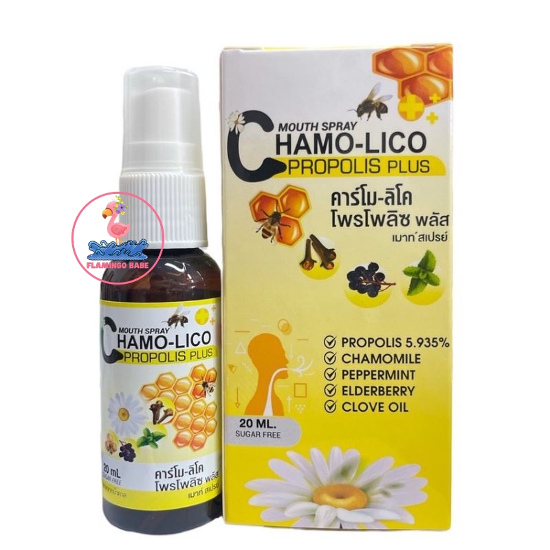 Kamillosan M Spray ราคาถูก ซื้อออนไลน์ที่ - มิ.ย. 2024 | Lazada.co.th