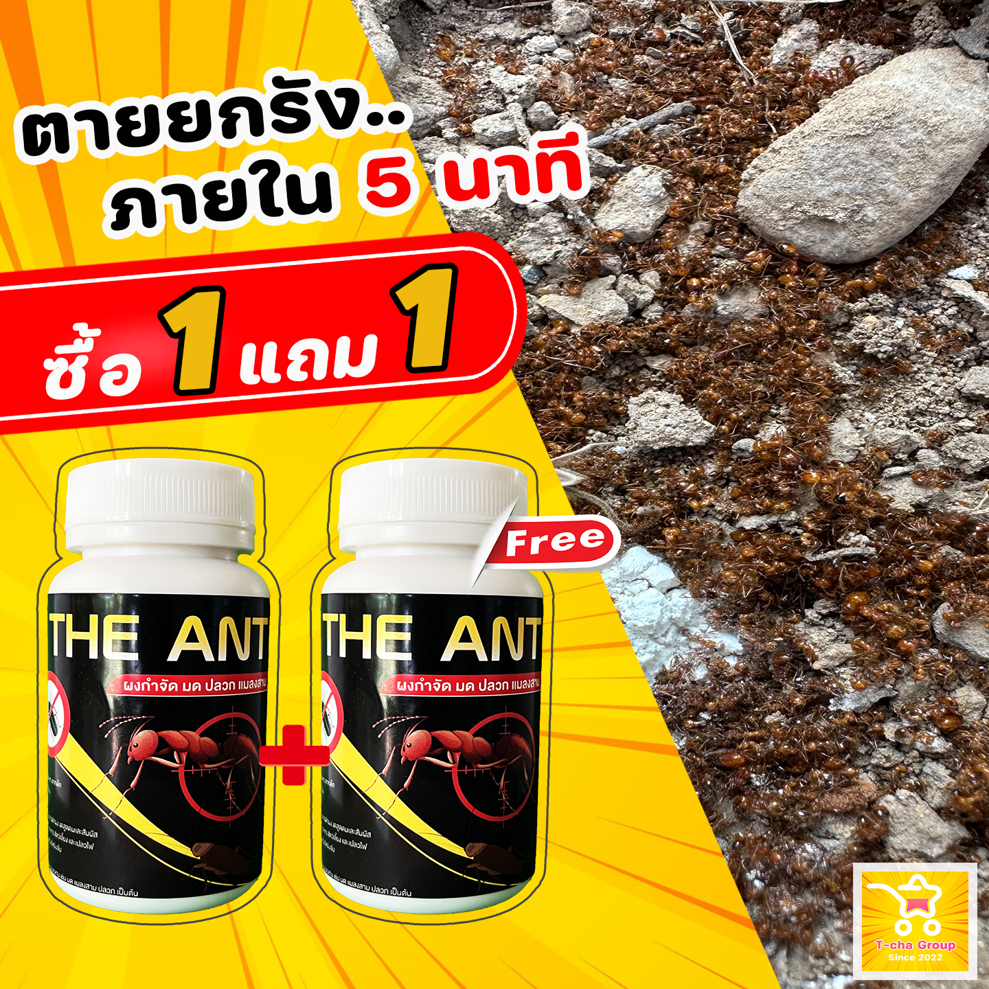(โปร 1 แถม 1) ได้ 2 กระปุก The Ant ผงกำจัด มด ปลวก แมลงสาบ สูตรตายยกรัง ภายใน 5 นาที