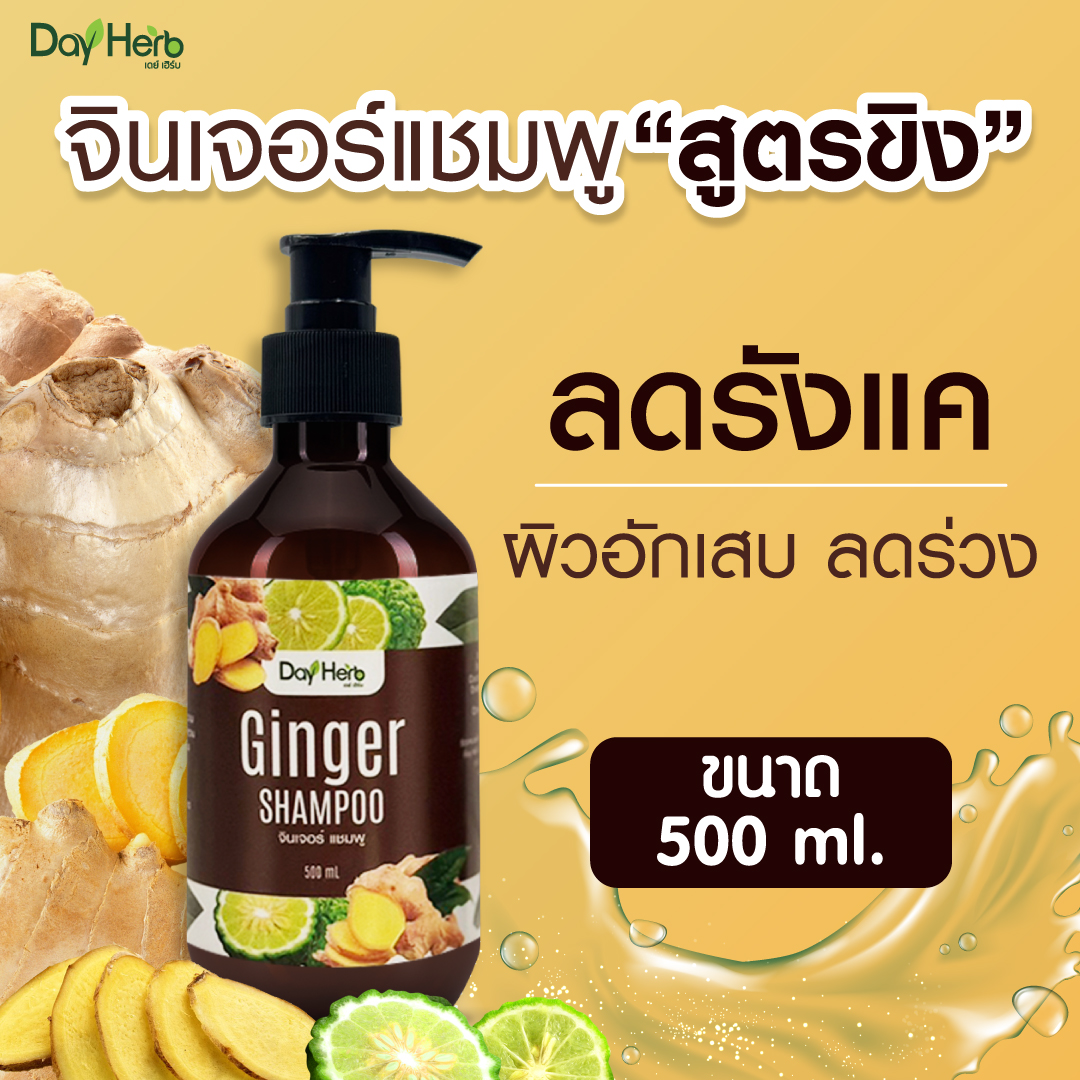 แชมพู ขิง เดย์เฮิร์บ ลดรังแค ปัญหาผิว คันหนังศรีษะ ราคา 189 บาท*ส่งฟรี