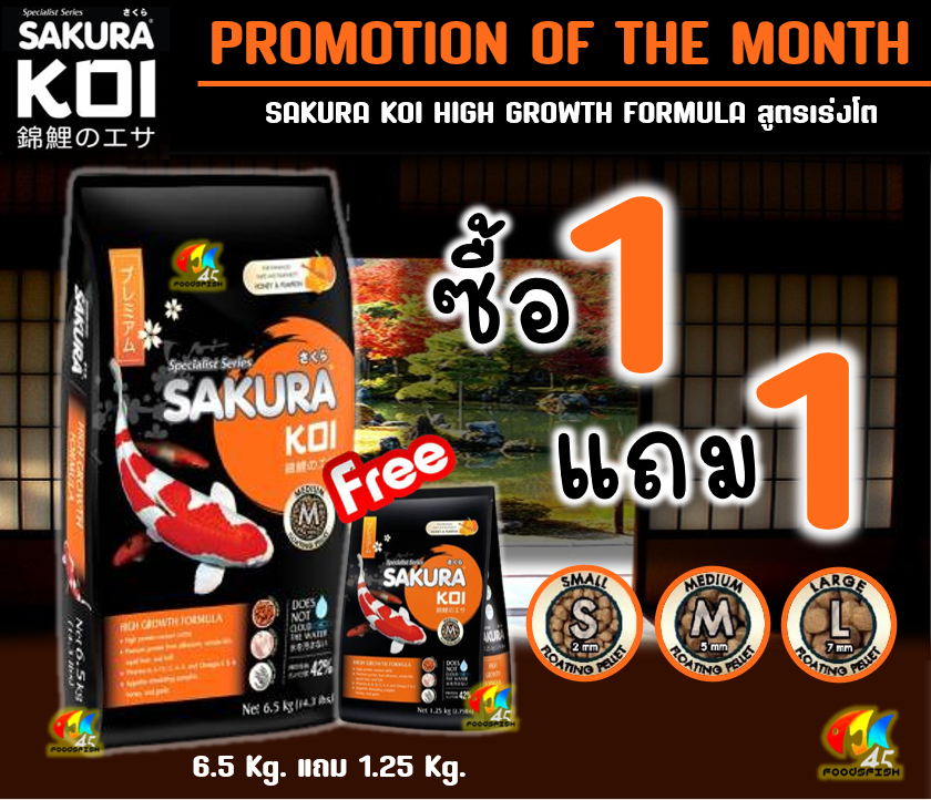 📦 🔰ซื้อ1แถม1🔰และ+1กก.ในถุง🔵2in1🟠เร่งโต🟢สมดุล🌾วีทเจิร์ม อาหารปลาคาร์ฟ Sakura Koi (ซากุระ โค่ย) ขนาด 6.5 กก. ราคา 1,040 บาท*ส่งฟรี