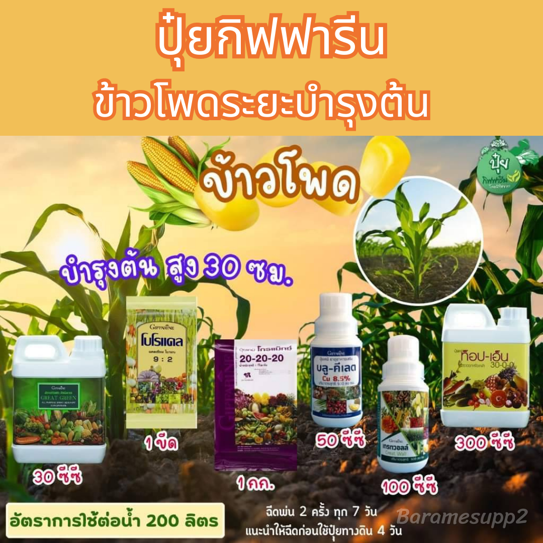 ปุ๋ยข้าวโพด ตรากิฟฟารีน สูตรบำรุงต้น สูง30ซม. ต้นโตไว ใบเขียวนาน ทนแล้ง เมล็ดสีสวยน้ำหนักดี ( 1Set มี 6ชิ้น ) ราคา 3,185 บาท*ส่งฟรี