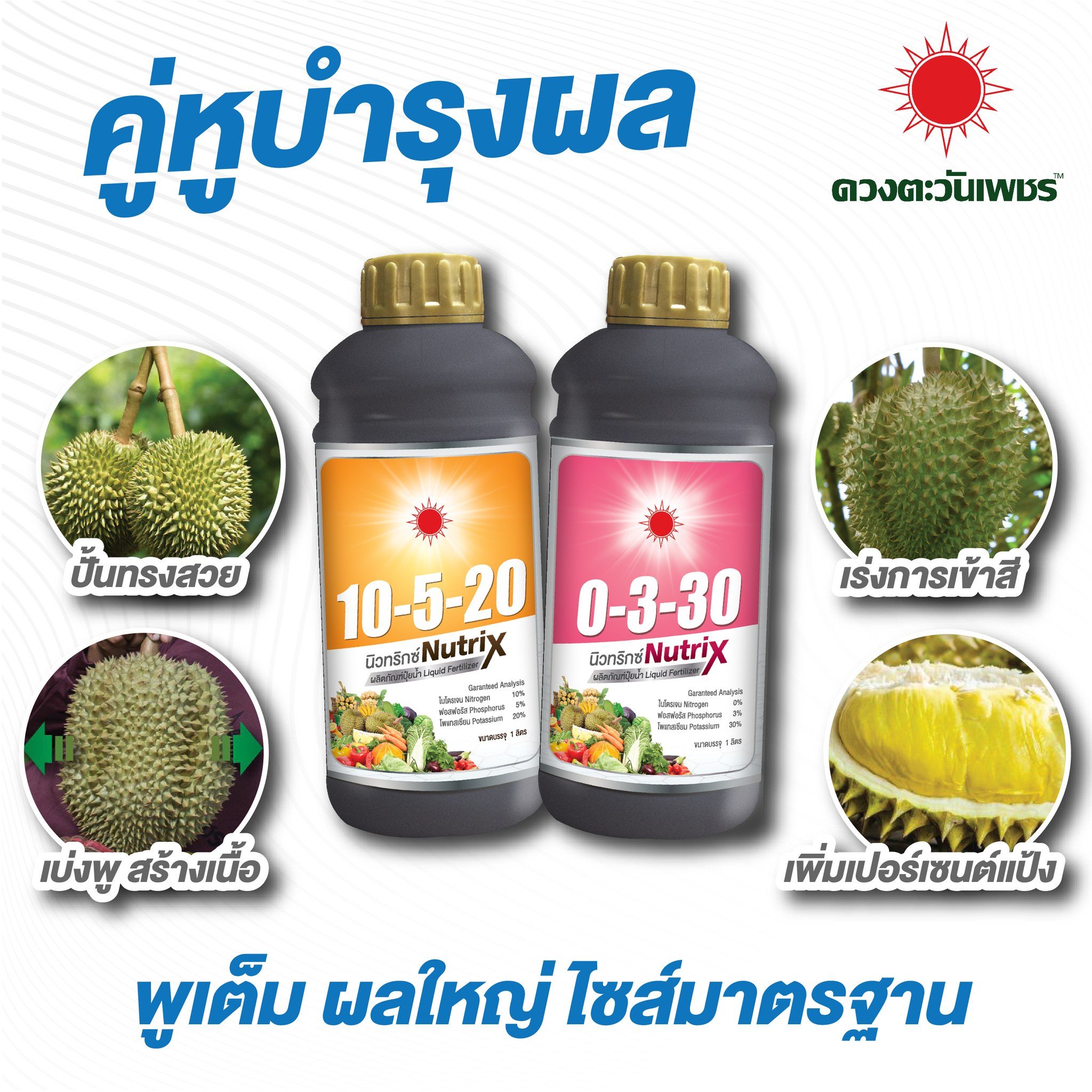 เซตคู่หูบำรุงผล 10-5-20+0-3-30 นิวทริกซ์ ช่วยในการสะสมอาหาร ขยายผล สร้างเนื้อ เพิ่มกลิ่นเพิ่มสี ราคา 809 บาท*ส่งฟรี