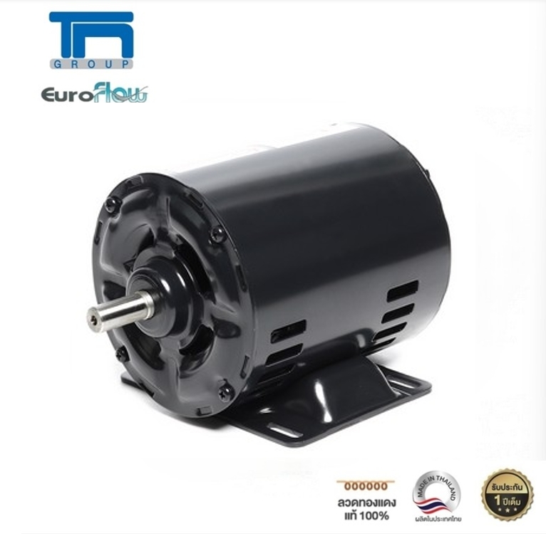 Euroflow Motor Model Cr 1/4Hp 4P ft 220V (G3) Shaft 14 mm (Not Suitable for Belt Pulling Work) ราคา 1,267 บาท*ส่งฟรี