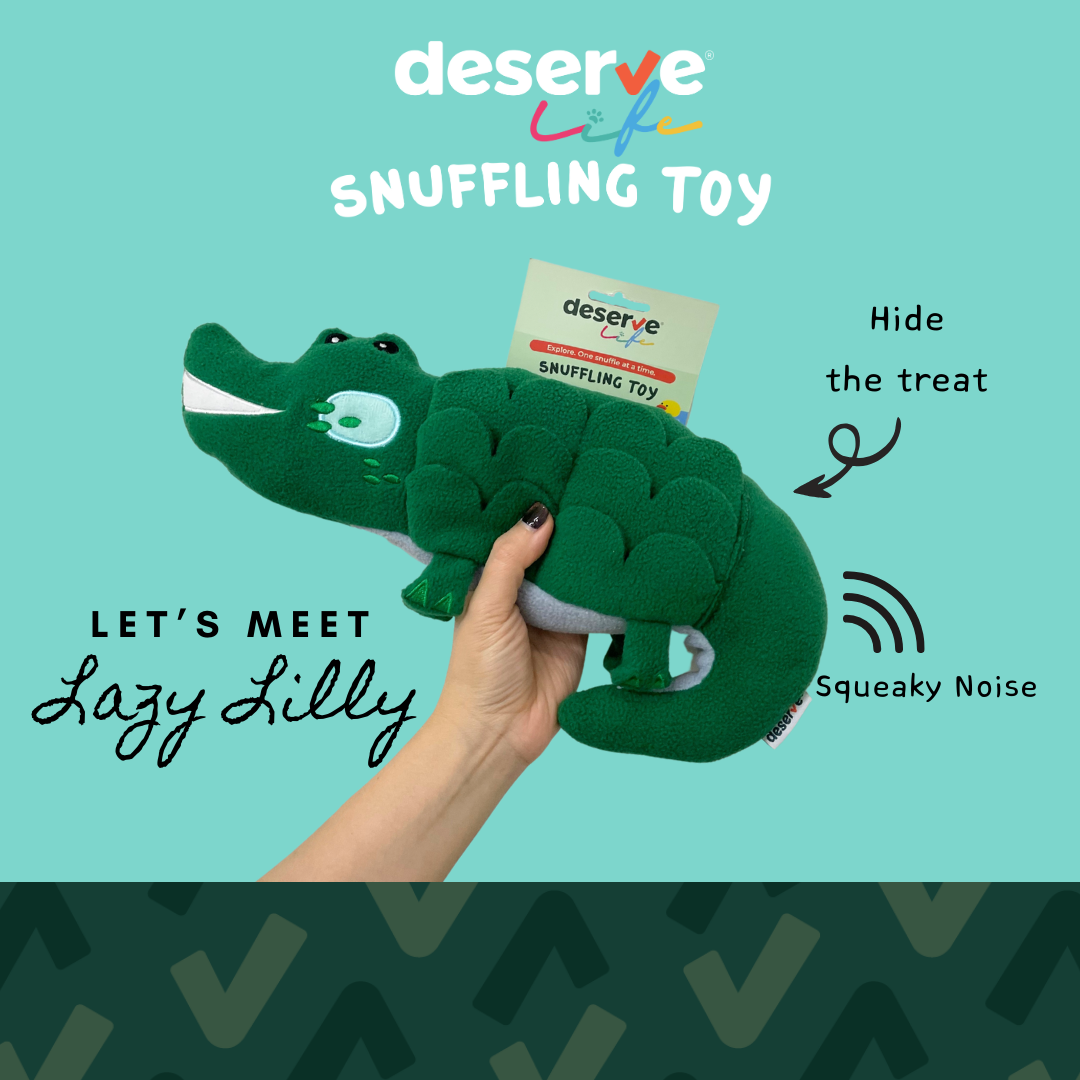 DESERVE ของเล่นสำหรับสัตว์เลี้ยง ฝึกทักษะ มีช่องซ่อนขนมพร้อมเสียง รุ่น Big Crocodile ราคา 650 บาท*ส่งฟรี