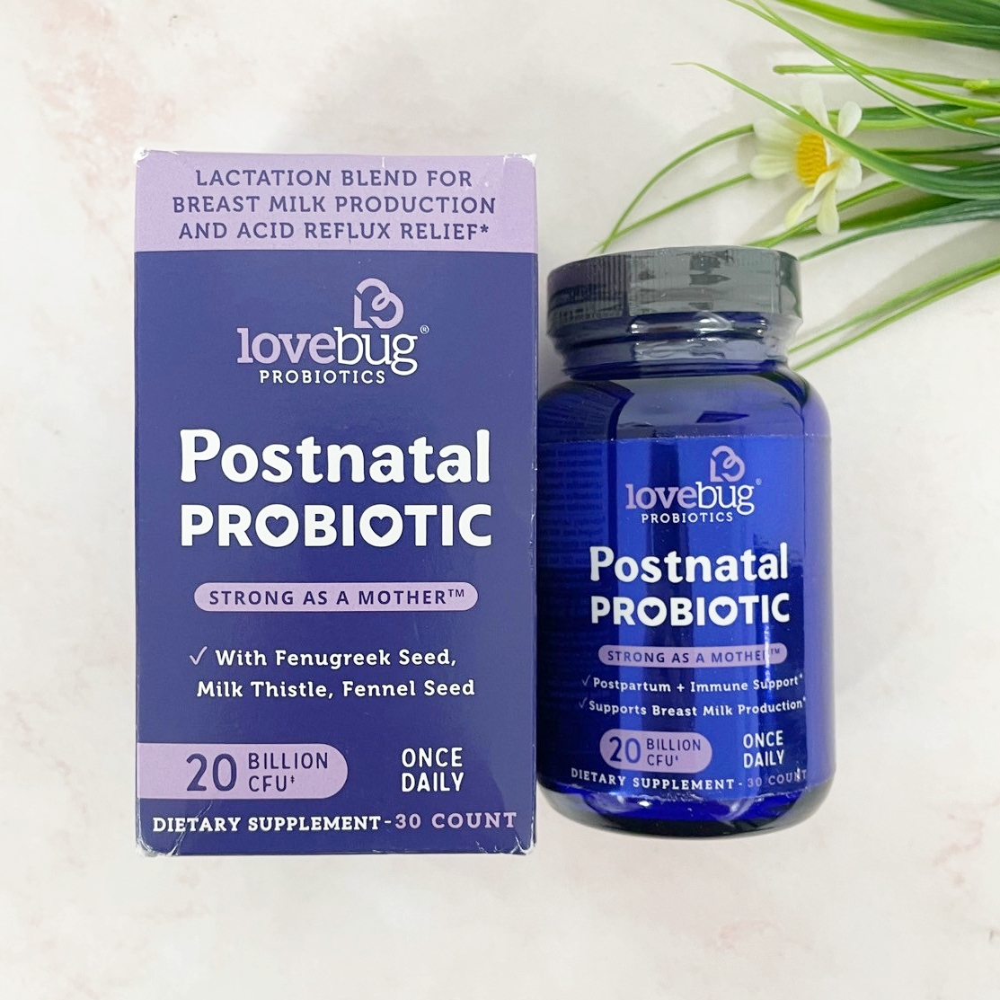 อาหารเสริมคุณแม่หลังคลอดและให้นมบุตร โปรไบโอติก Postnatal Probiotic 30 Count [Lovebug®] ราคา 2,298 บาท*ส่งฟรี
