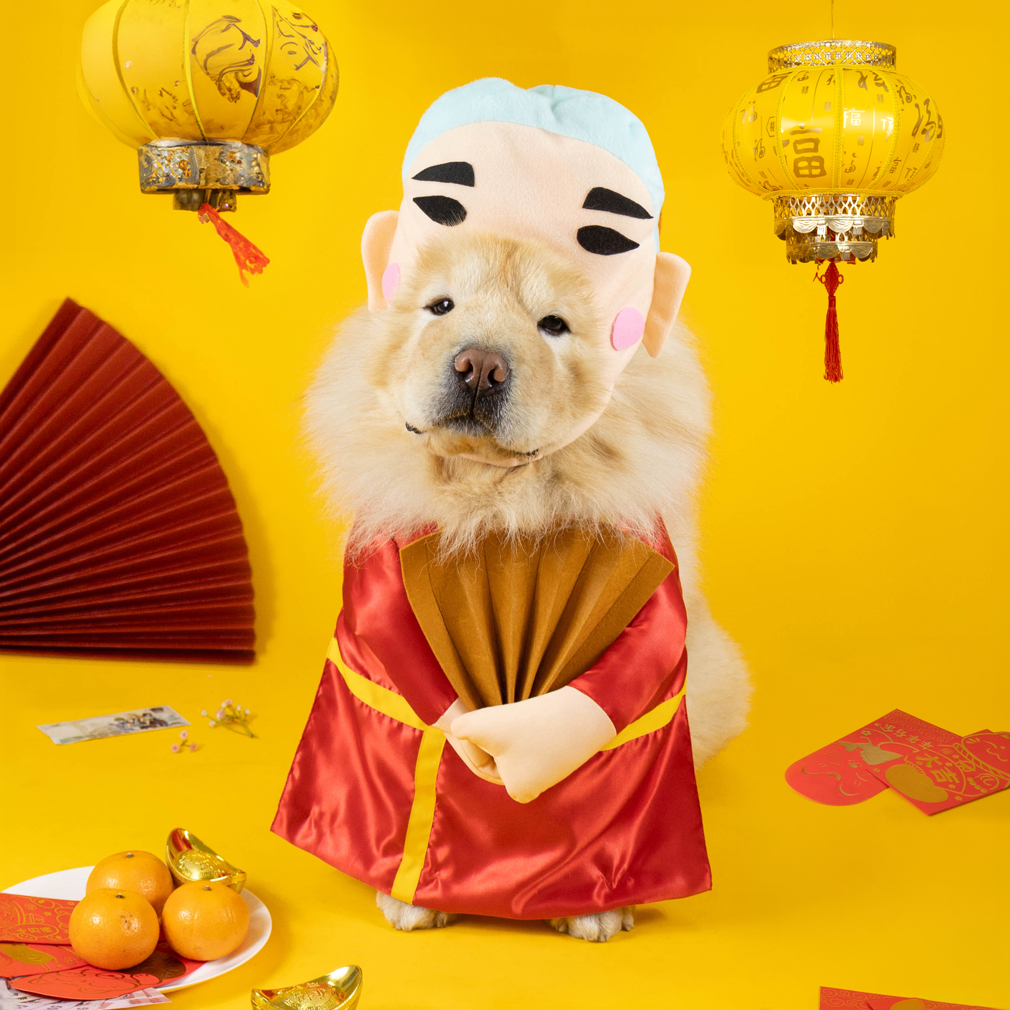 แป๊ะยิ้ม ชุดคอสตูมตรุษจีน Chinese New Year 2024 ชุดหมาแมวแฟนซี | Clawset.bkk ราคา 720 บาท*ส่งฟรี