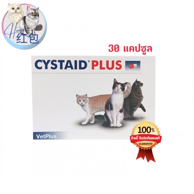 Cystaid Plus ราคาถูก ซื้อออนไลน์ที่ - เม.ย. 2023 