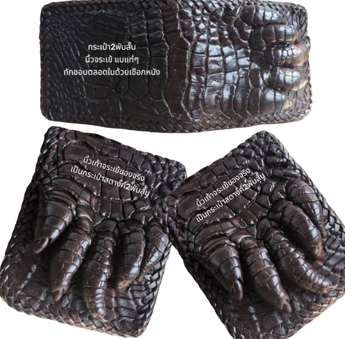 Jorakha นิ้วจระเข้ สีน้ำตาลเม็ดมะขาม นิ้วอ้วนเต็มวัย ราคา 1,250 บาท*ส่งฟรี