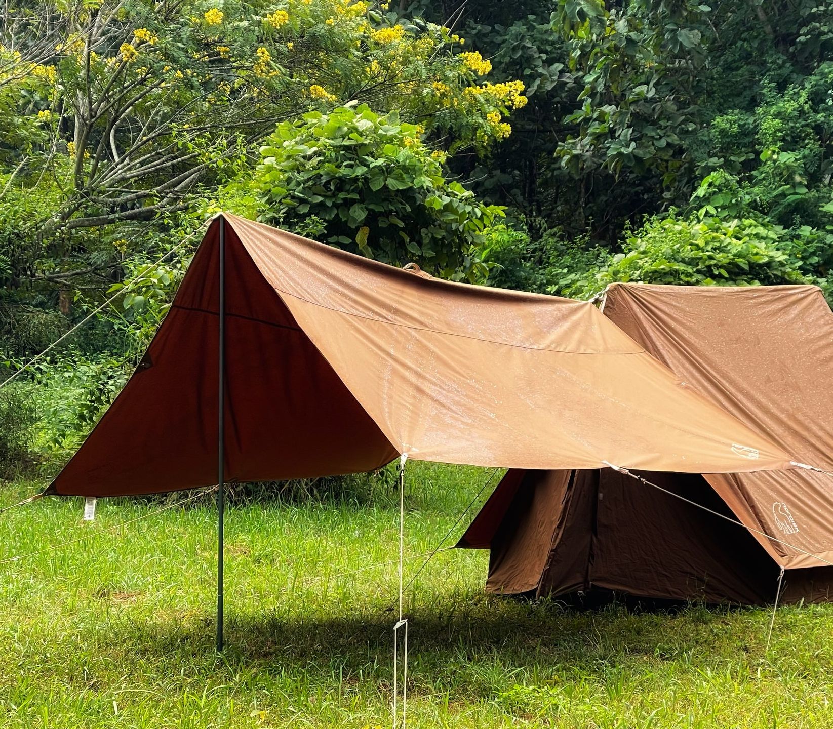 ทราป Nordisk Kari 12 Tarp #Chocolate Brown ราคา 12,500 บาท*ส่งฟรี