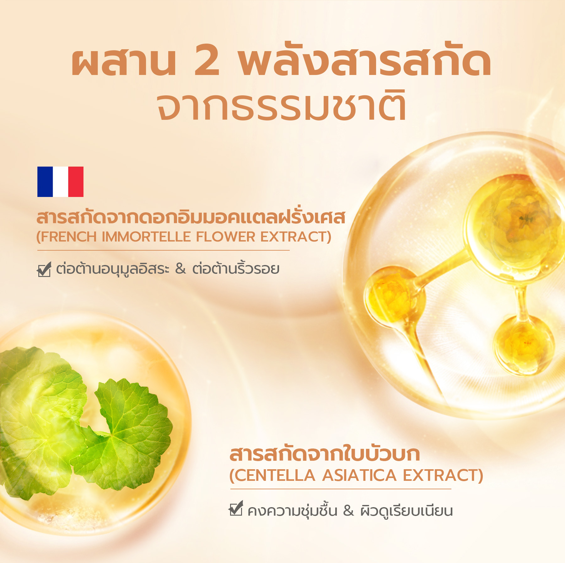 YOU NoutriWear+ Airy Fit Loose Powder แป้งฝุ่น สูตรบางเบา เครื่องสำอางติดทนนาน 794ac284323c42f3c8de4b69b0a4df09