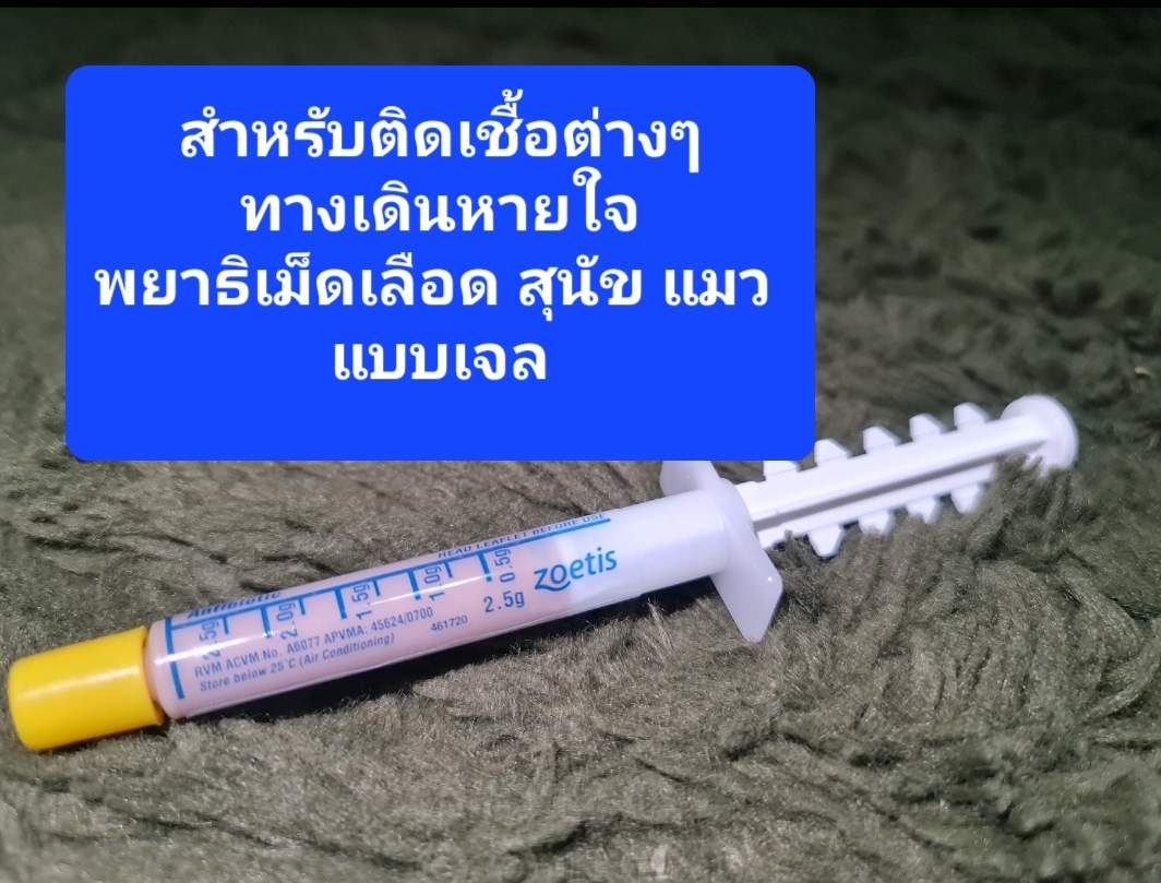(จัดส่งจากประเทศไทย)ยาต้านไวรัส ยาทาปาก ยาแก้อักเสบ แก้หวัด สุนัข จมูกแมว หวัด ด็อกซีไซคลิน ซิงเกิลExp.11/2025